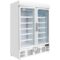 Glasdeur Vrieskast Polar GH507